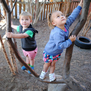 Children Playing In A Branch