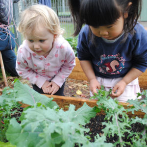 Children In Garden